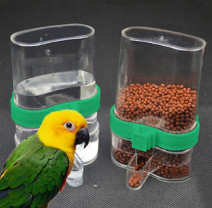 supplies for pet bird